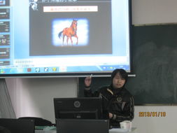 計(jì)算機(jī)組教師參加動漫專題培訓(xùn)，探索技術(shù)與藝術(shù)的融合新路徑